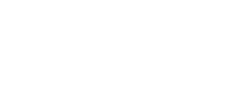 tamil font of ayya saiva unavagam